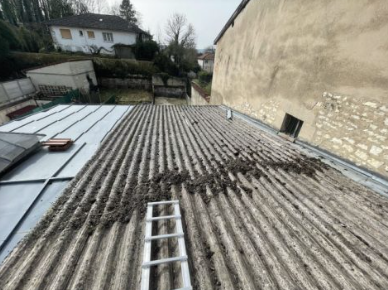 Toiture envahie par les mousses