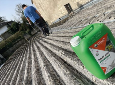 Application produit démoussant DALEP