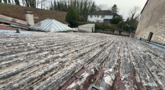 Toiture traitée après démoussage